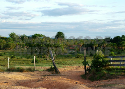 Savanne in Roraima, Brasilien / Savanna in Roraima, Brazil