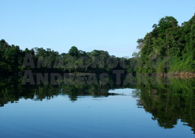 Coppename River, Suriname