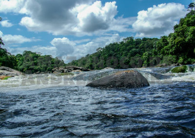 Raleigh fallen, Coppename River, Suriname